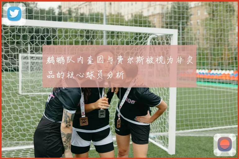 鹈鹕队内奎因与费尔斯被视为非卖品的核心球员分析