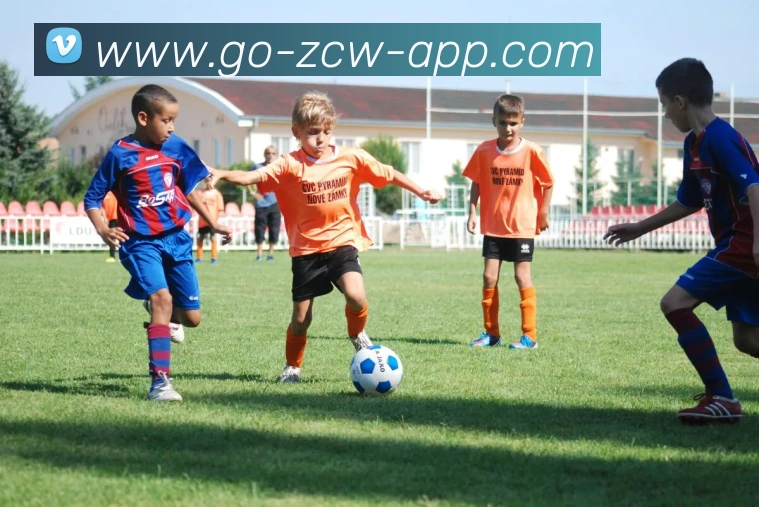 足彩网平台生态图